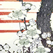 Gakutei Yashima Gallery